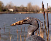 Fishing Buddies head.