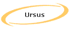 Ursus